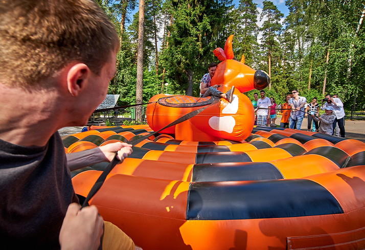 Командный бык 