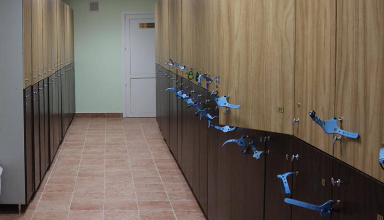 Коммуникации